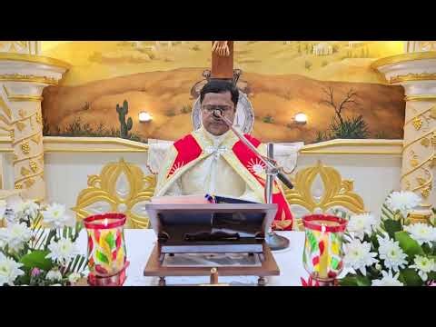 Thursday Holy Mass 5.30 A M May 07 I Syro Malabar I Fr Bineesh Augustine