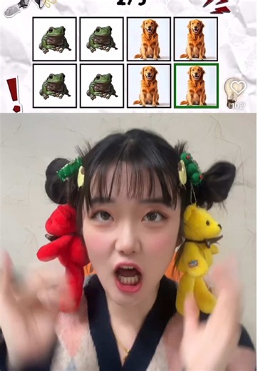 Hurricane Collection Insights