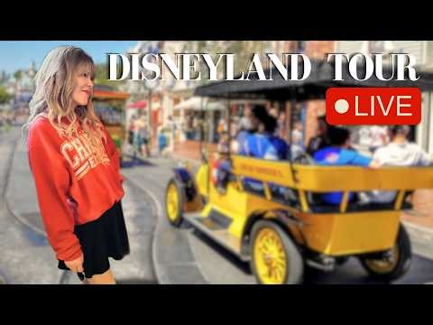 🦋💋 Disneyland Live: A Perfectly-Taylored Day