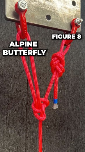 Alpine Butterfly Vs Figure 8