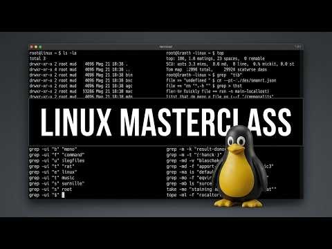 Your ONLY Linux Terminal Guide: Become a Pro! (45 min)
