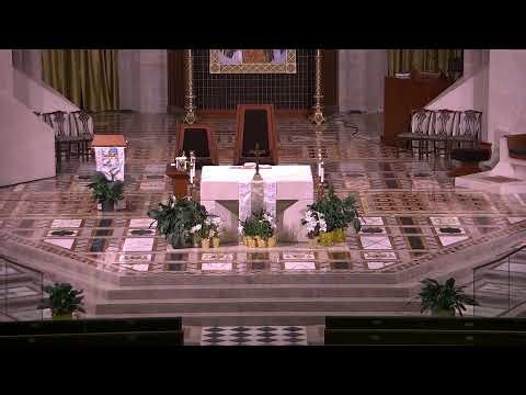 Live from the Cathedral of the Most Blessed Sacrament