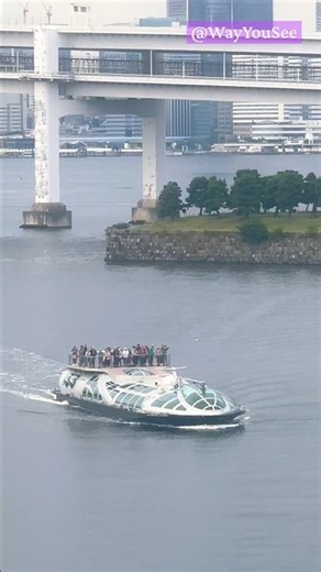 Life around Tokyo city. Cruises, boats, bridges, designed to move around in a way. Catch 💯🚊🇯🇵.