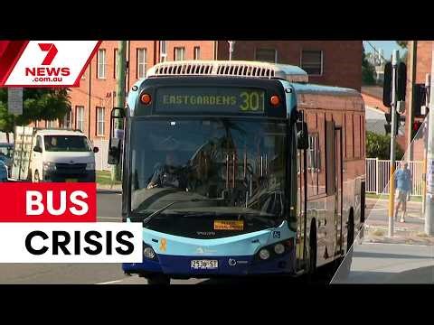 Sydney buses slammed in latest performance report | 7NEWS