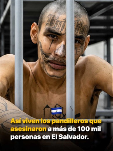 Así viven los pandilleros que asesinaron a más de 100 mil personas en El Salvador I @ana_salvatori Así viven los pandilleros en El Salvador, en el Centro de Confinamiento del Terrorismo, la cárcel de máxima seguridad que todos conocen como el CECOT. Duermen en camas de metal, sin colchón, sin almohada y sin sábanas. Comparten celda con hasta 80 reos. La luz nunca se apaga, ni de día ni de noche. Comen frijoles, arroz, queso o pasta, sin cubiertos, y nunca carne. Se bañan con una cubeta, sacando 