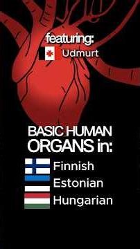 Human organs in Finnish, Estonian, Hungarian, and Udmurt!