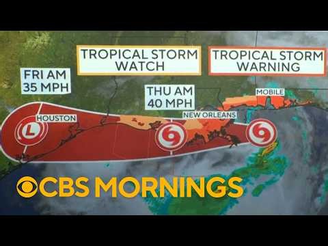 Track Tropical Storm Bertha's path through the Gulf