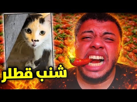 تضحك تأكل فلفل يخليك تبكي🥵!! #91 ميمز الحمقى