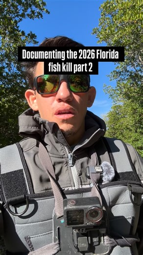 Documenting the 2026 Florida fish kill part 2 - seeing so many of these. Let’s all do our part as we continue to enjoy Floridas beautiful estuaries and be stewards that handle and fish ethically. Use the right tackle, keep em wet and fish on. #fishing #nature #fishkill #florida | Abenz Fishing