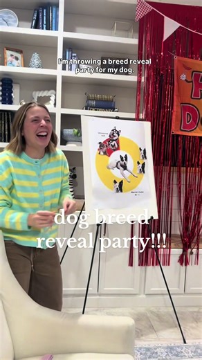 Exciting Dog Breed Reveal Party for Our Stray
