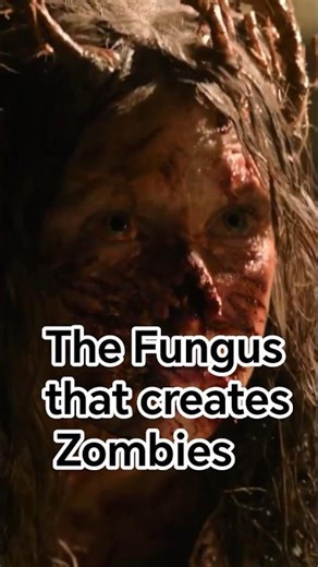 The Fungus That Controls Minds — Cordyceps