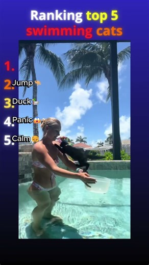 Top 5 SWIMMING CATS🏊😾 #cat