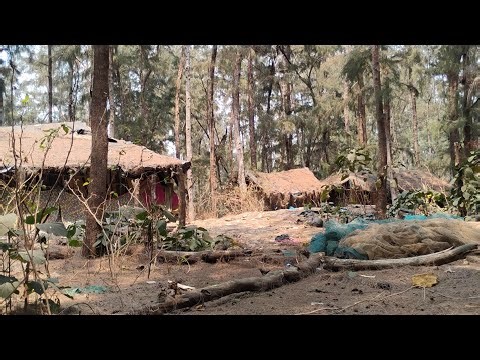Treasure hunt with beach side old area.. #golddigger #metaldetecting #metaldetector #experiment 