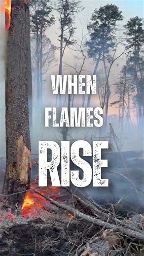 Fighting Fire | Georgia Forestry Commission