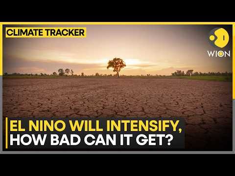 A Super El Nino Is Brewing: Record-Breaking Ocean Heat Could Change Weather Worldwide | WION News