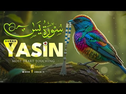 Surah Waqiah سورة الواقِعَة | Relax Your Mind Majestic Quranic Recitation | Zikrullah TV