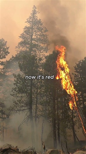 The Earth Used to Be Green... Now It's Red
