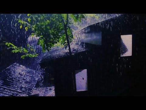 Fall Asleep Fast || Heavy Rain & Distant Thunder (No Talking) ASMR for Sleep