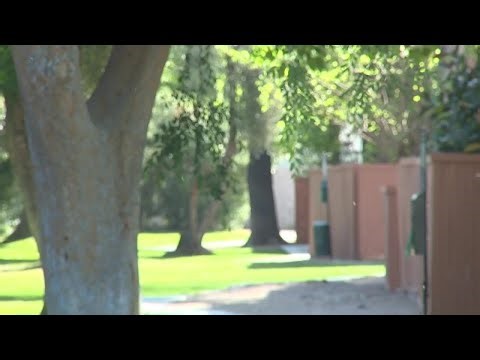 Breaking down the official pollen count across the Valley