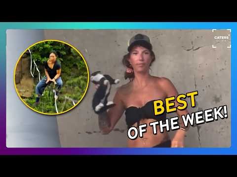 The Most Viral Videos This Week