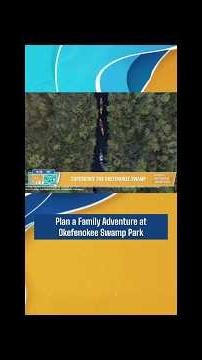 Plan a Family Adventure at Okefenokee Swamp Park