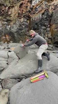 We went fossil hunting on a Jurassic Coast beach and searched for hidden treasures
