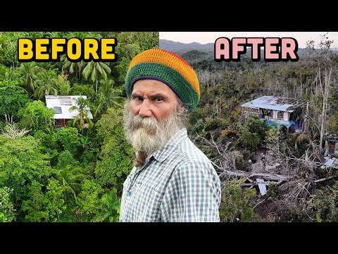 Destruction at Tommy's Exotic Fruit Paradise: Hurricane Melissa