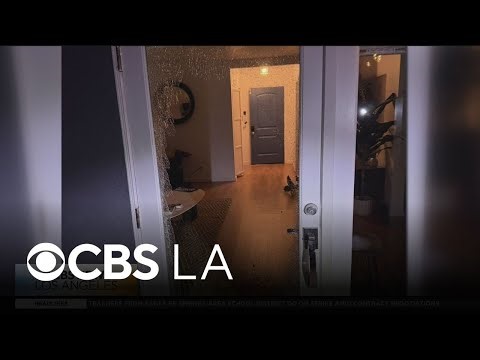 Thieves are caught on camera prowling San Fernando home property
