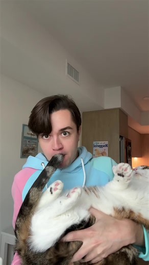 My favorite instrument 🥰 #cat #bagpipes | Bag Pipes