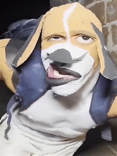 MaCaRoN 🐶 😂 #croniusmeme #macaron | chacarron macarron