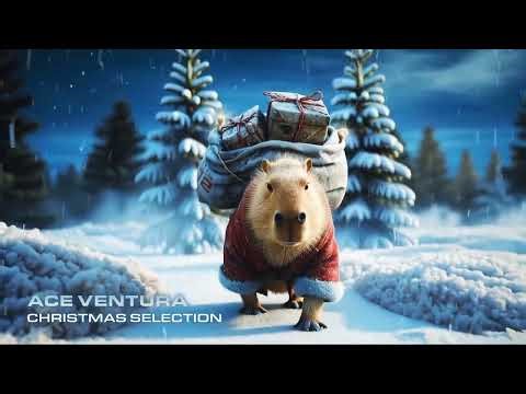 ACE VENTURA - CHRISTMAS SELECTION VOL. 12 MIX