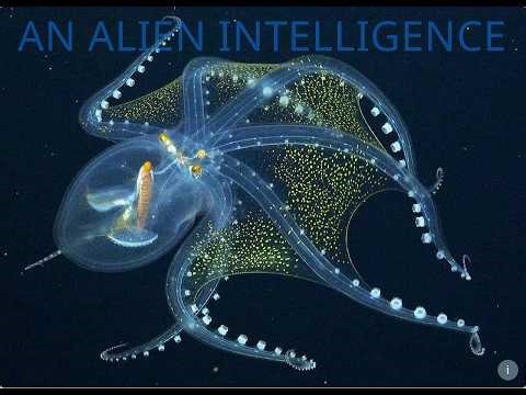An Alien Intelligence