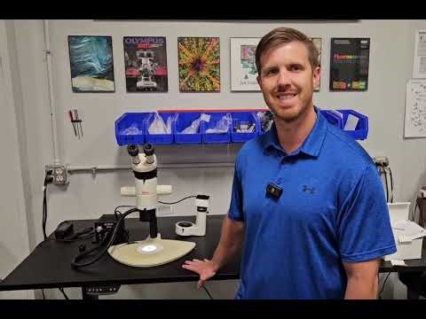 Leica stereo microscope 