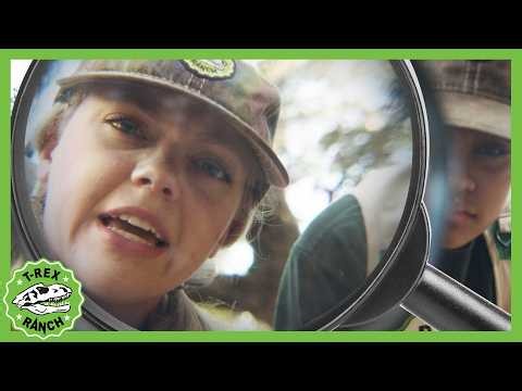 Dinosaur Fossil Mystery - Follow the Clues! 🦖🫆 | T-Rex Ranch | Kids Fun & Educational Cartoons