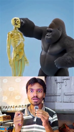 Which Animal Can Kill You 😳??
