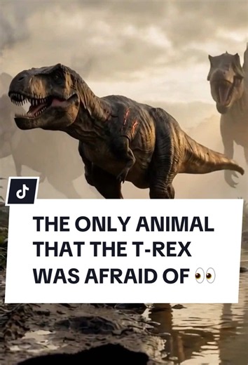The only animal the T-Rex was afraid of.. #documentary #science #dinosaurs #briancox #mindblown