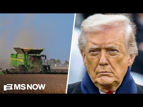 'Trump will end up on the wrong side of history': Soybean farmer blasts economic policies