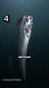 Strangest Alien 👽 fishes. #didyouknow #marinemystery #explore #facts #deepsea #wildlife #earth