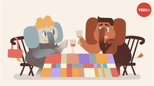 TED-Ed: 4 things all great listeners know | Tracey Falconer