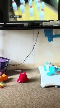 Wii Sports Startup and Bowling