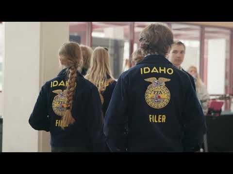 What's the next step after FFA?