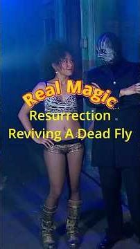 Real Magic - Resurrection , Reviving A Very Dead Fly