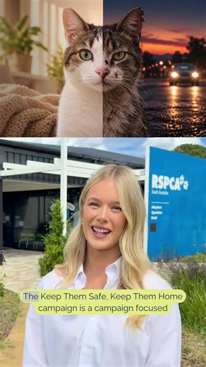 Keep Them Safe, Keep Them Home. | RSPCA South Australia