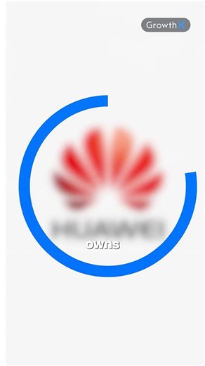 This is China's Nvidia