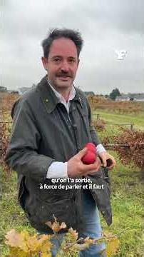 Née en 2017, la truffière de Cément a progressivement bâti des méthodes de suivi et de pilotage pour