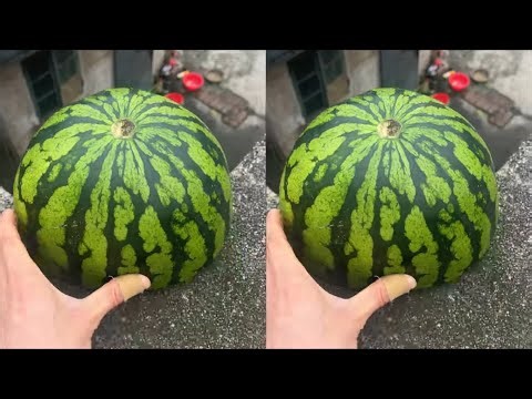 Experiment: Will a watermelon explode if it rolls off a tall building? 🍉💥#watermelon #003