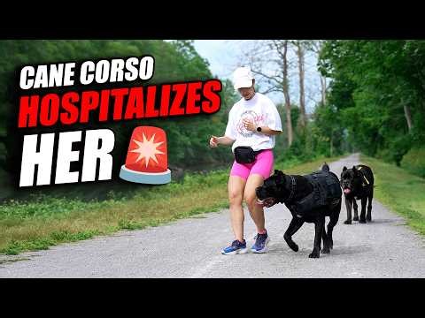 Why You Should NEVER Play Like This With A Cane Corso