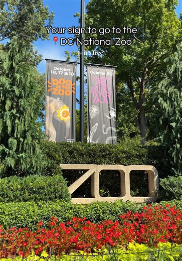 Your Sign to Visit the Free DC National Zoo 🐼🦁🐅🐘