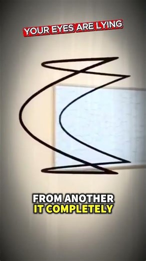 This Optical Illusion Looks Different From Every Angle #OpticalIllusion