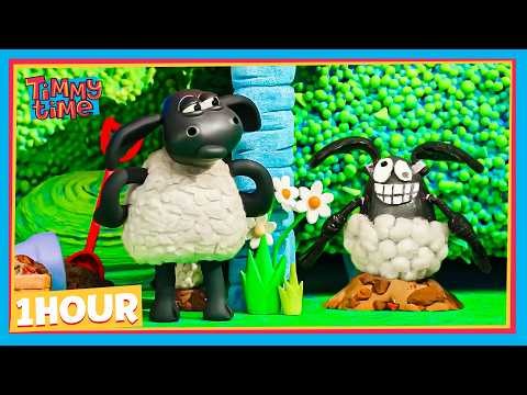TIMMY'S GOT AN IDENTICAL TWIN?! | TIMMY & FRIENDS